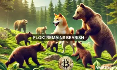 FLOKI market sentiment points to potential decline: Here's why