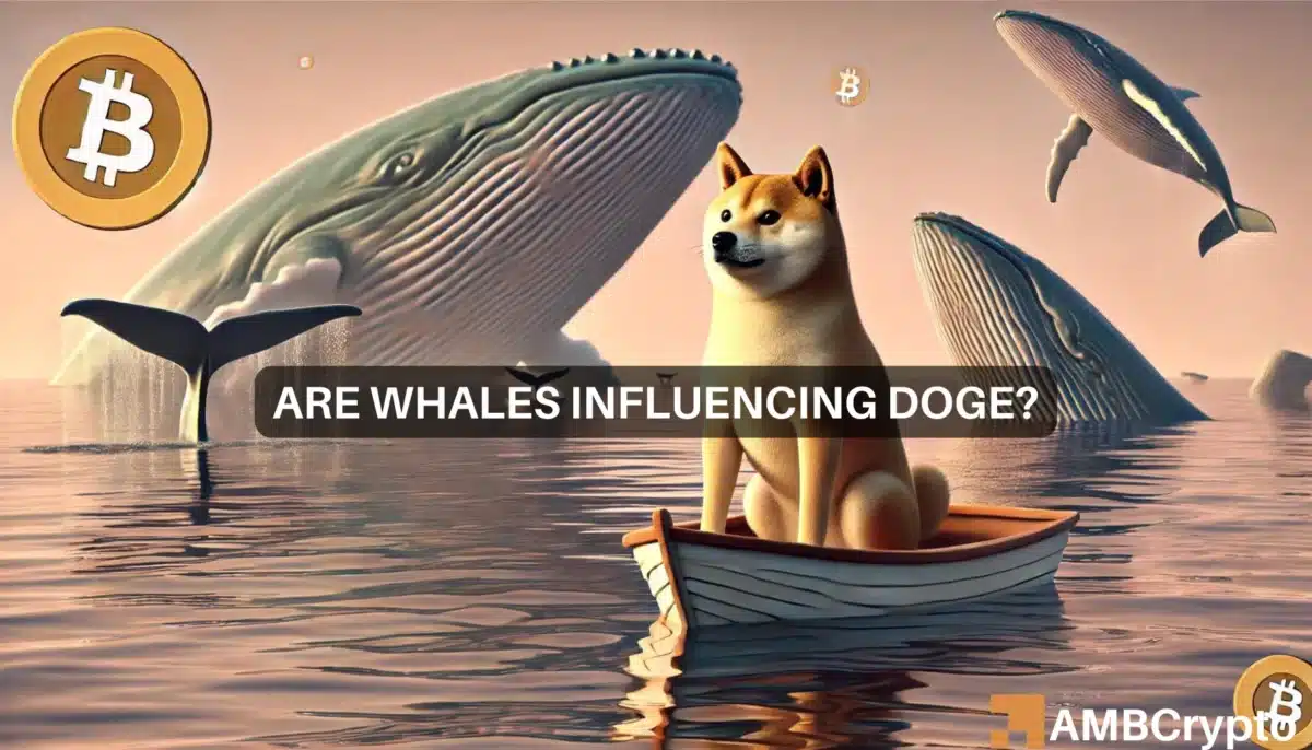 Are whales influencing Dogecoin?