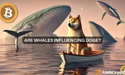 Are whales influencing Dogecoin?