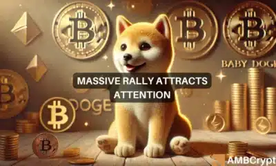 Baby Doge coin rallies 200% in 30 days, up 27% in 24 hours - What now?