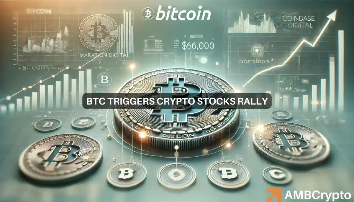 Crypto stocks rally by double-digits: What role did Bitcoin play?