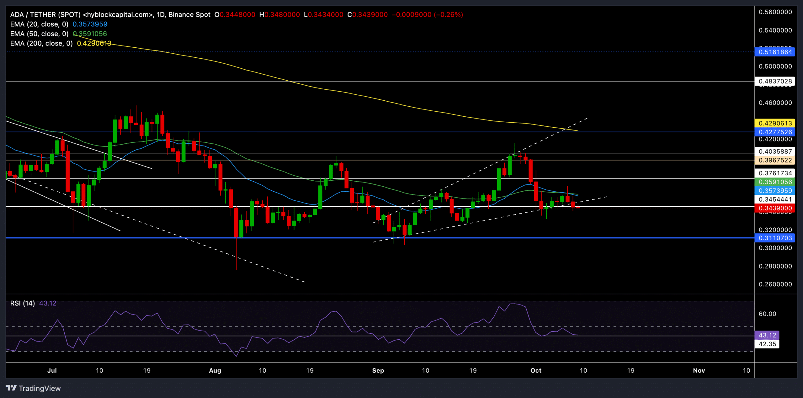 What Cardano traders should look for before going long