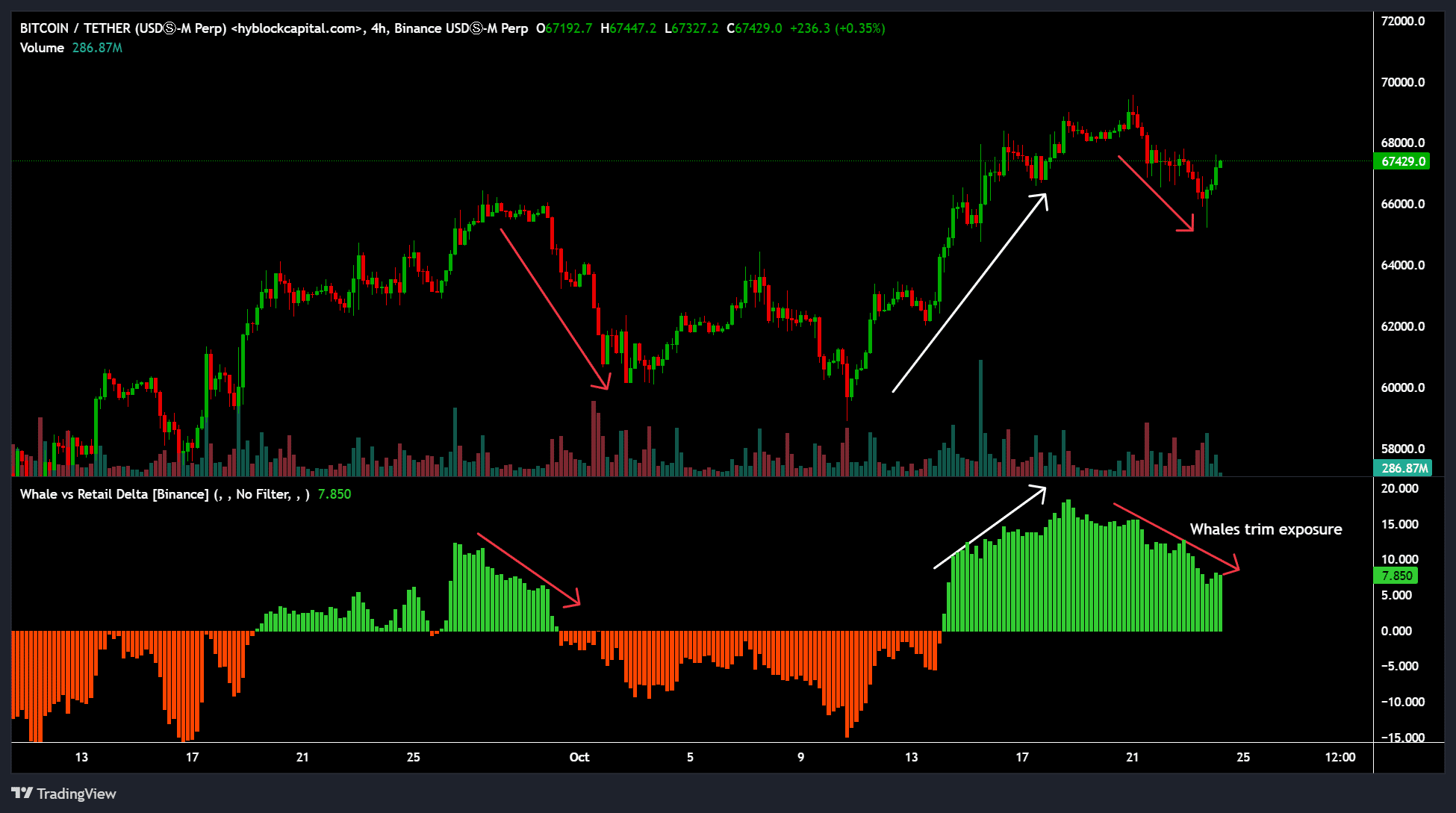 Bitcoin network