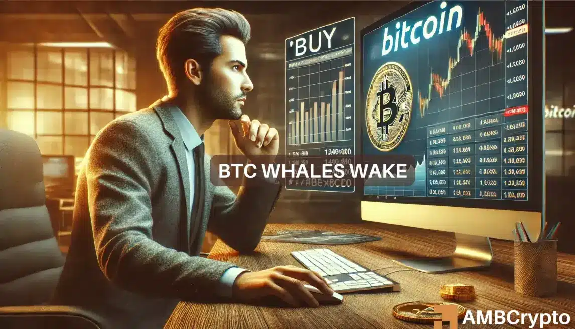 Bitcoin whales have ramped up efforts - THIS is why