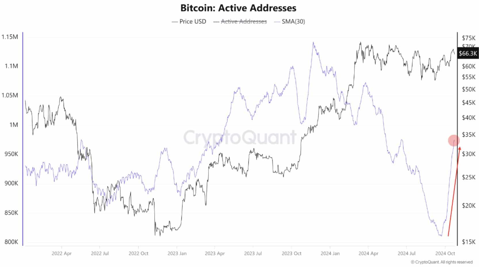 Bitcoin network active addresses