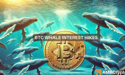 BTC whales