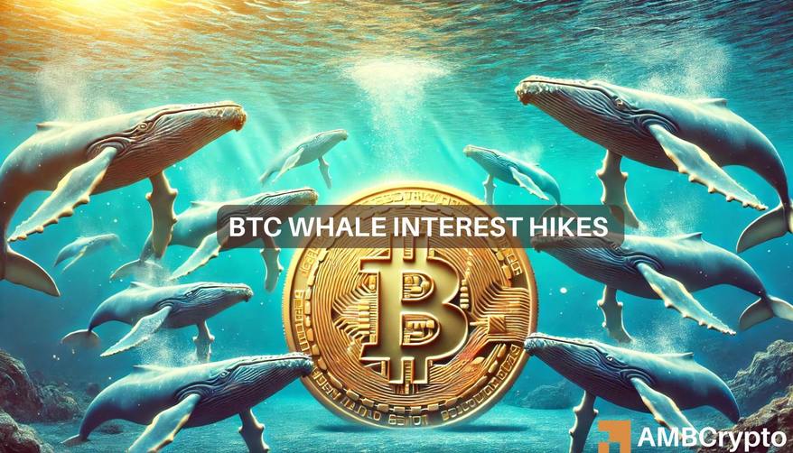 BTC whales