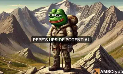 PEPE - How likely is a 35% rally for this memecoin's price?