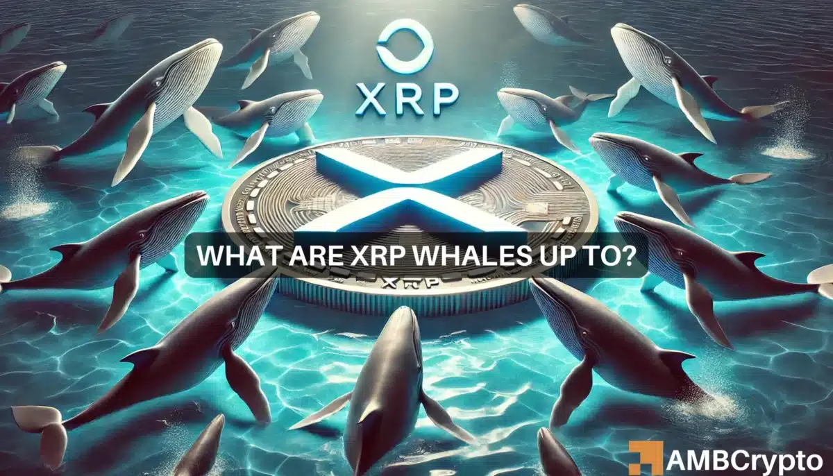 XRP whale bags 52 mln tokens as THIS signals potential upside