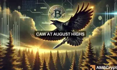 Crow with knife crypto [CAW] up by 98% in a day- what next?