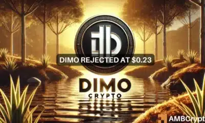 DIMO crypto gains 82% in a day before pullback