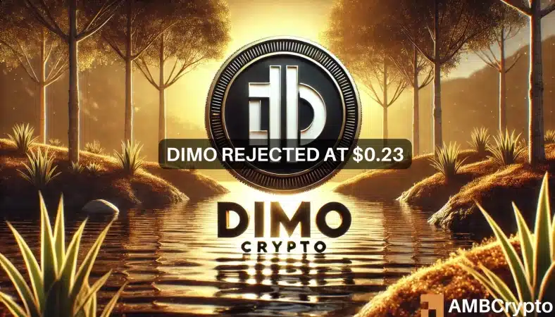 DIMO crypto gains 82% in a day before pullback