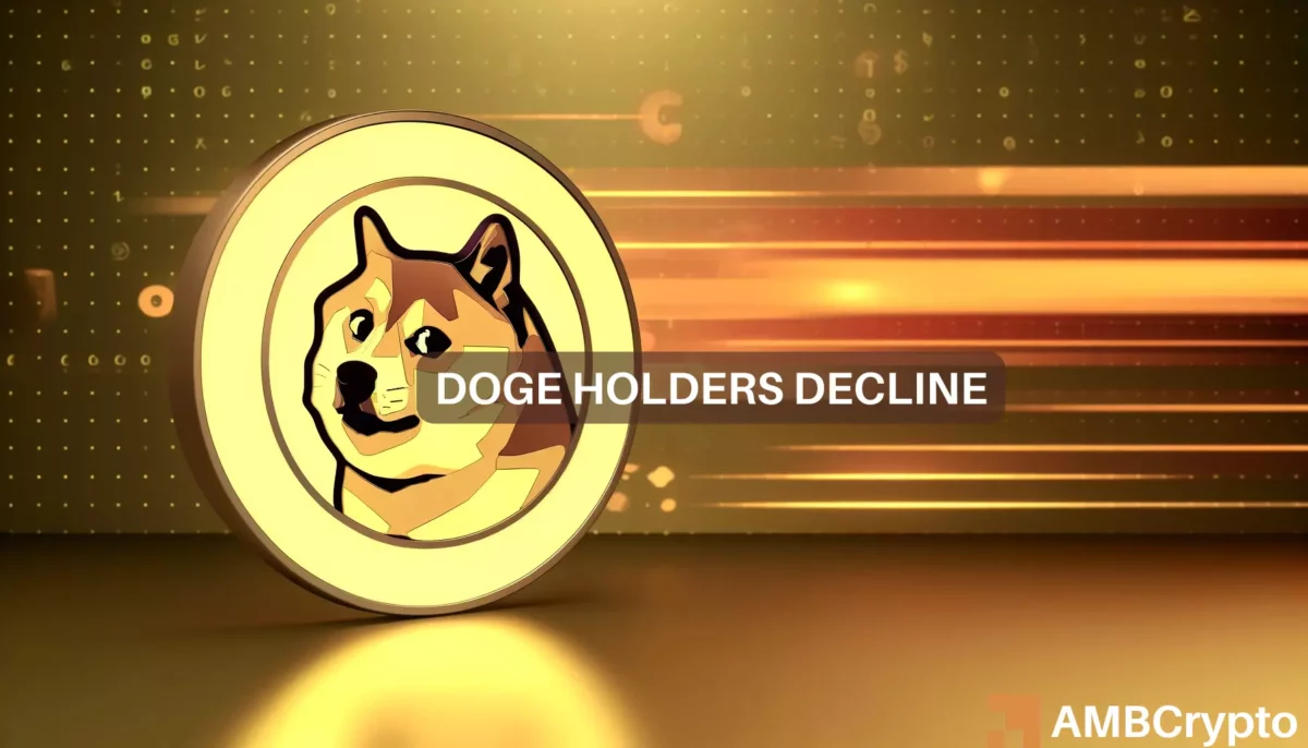 Dogecoin holders drop, but DOGE rises 14%: Examining the shift