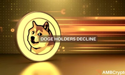 Dogecoin holders drop, but DOGE rises 14%: Examining the shift