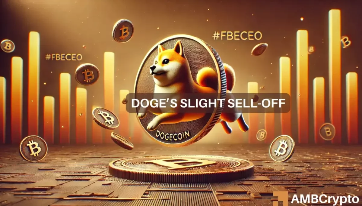 Dogecoin sees over $25 million sell-off amid price surge