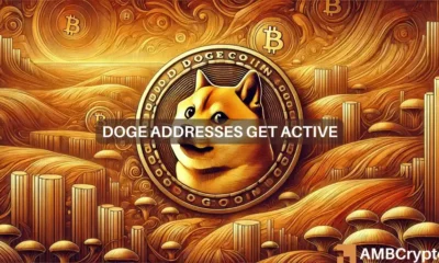 Dogecoin price surges as key metrics show increased activity and demand