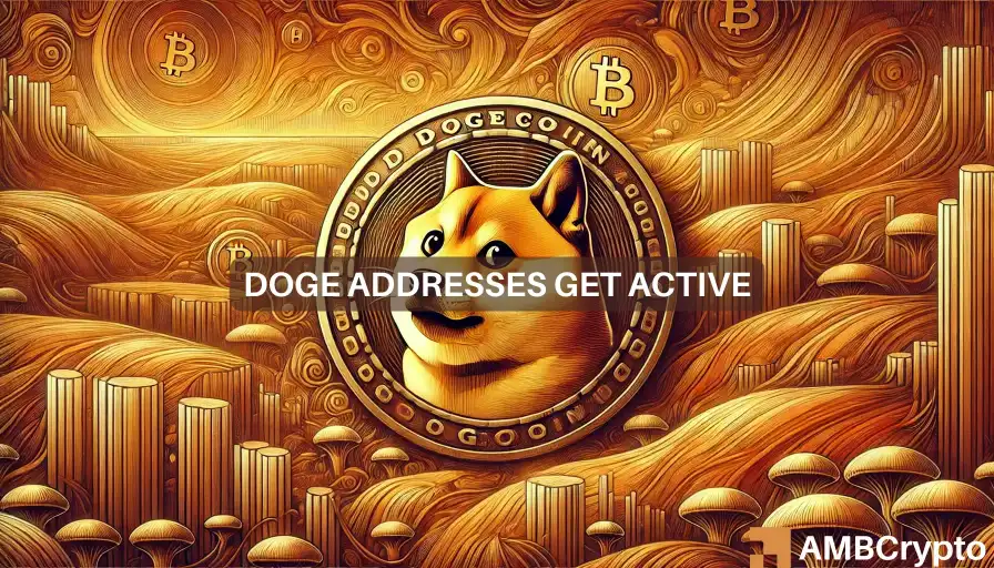 Dogecoin price surges as key metrics show increased activity and demand