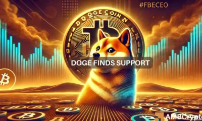 Dogecoin whales add 2 billion tokens as market value drops