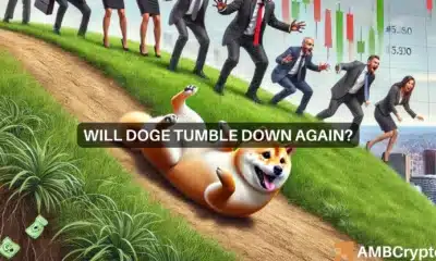 Dogecoin is falling, but where will DOGE's next few price targets be?