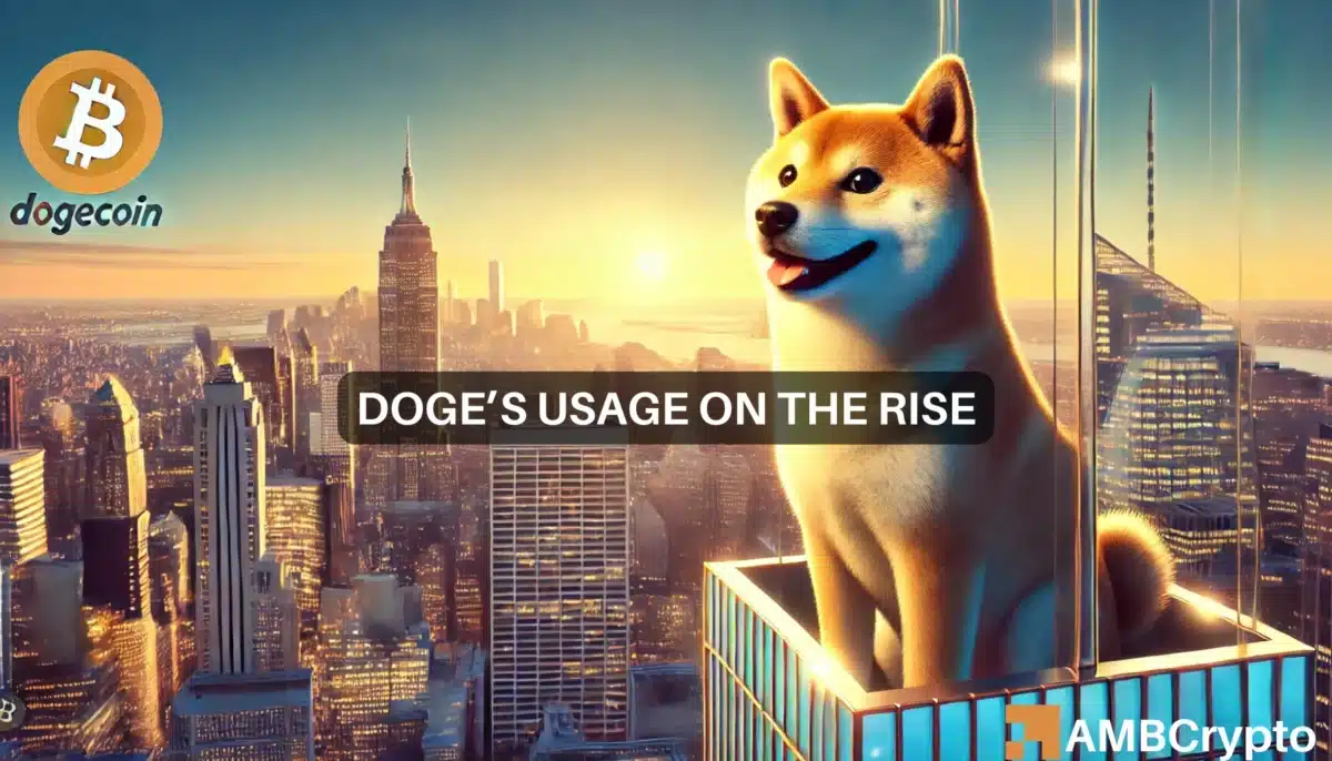 Dogecoin usage hits THIS major milestone: How will DOGE benefit?