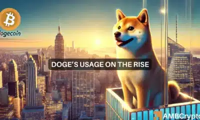 Dogecoin usage hits THIS major milestone: How will DOGE benefit?