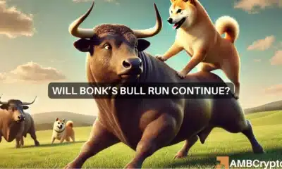 BONK's price surges: Signs of a strong rally ahead?