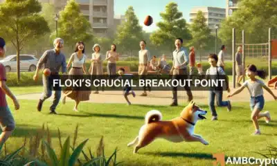 Floki