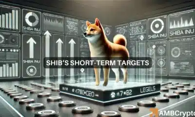 Shiba Inu price prediction - 3 reasons why SHIB is on the right track!