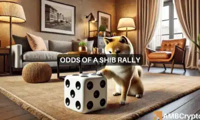 Odds of a SHIB rally