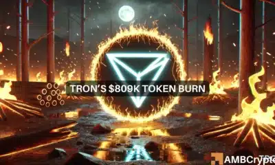 Tron burns 10M tokens - Will this help TRX's price rise?