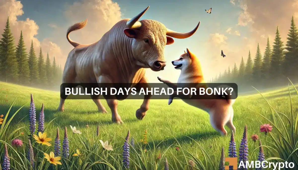 BONK coin surges 13% in 24 hours: Will positive sentiment persist?