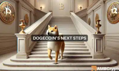 Dogecoin - Exploring why DOGE's price may see more upside soon