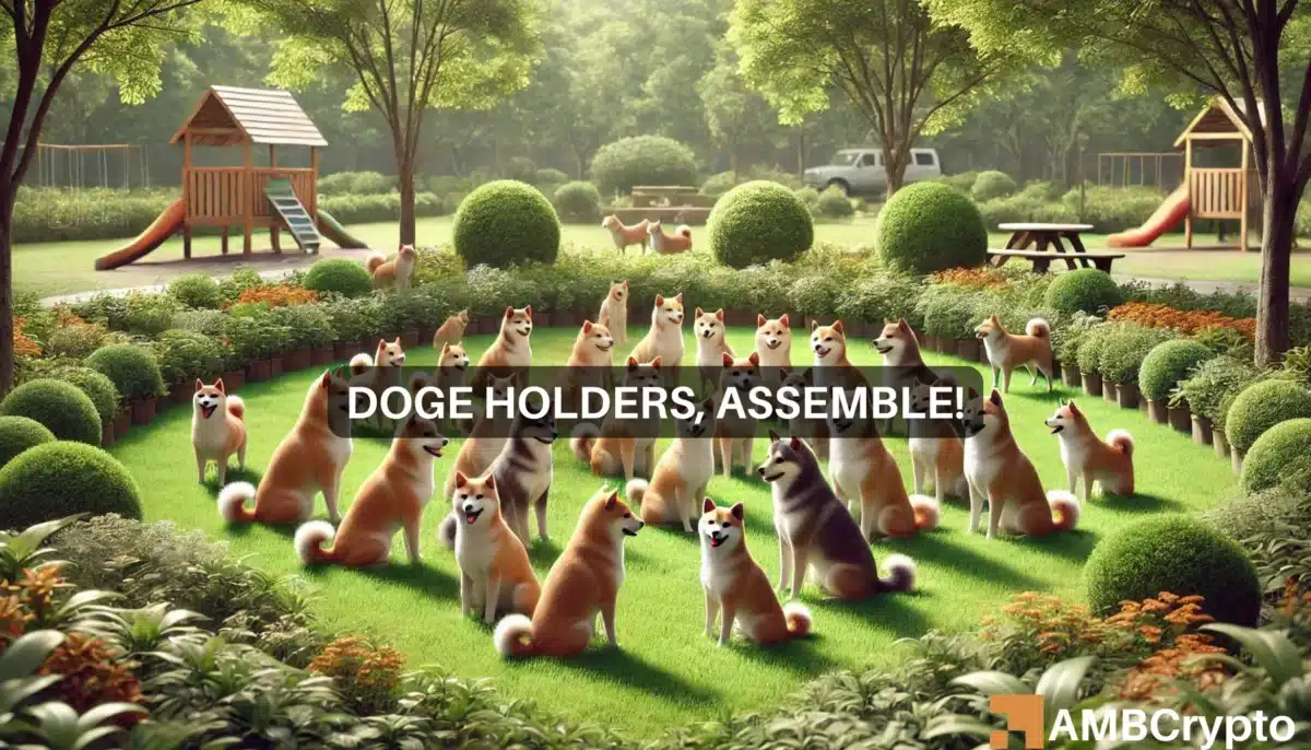 Dogecoin holders pile on 2.07B tokens: Sign of DOGE's rally?