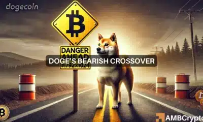 Dogecoin awaits a correction