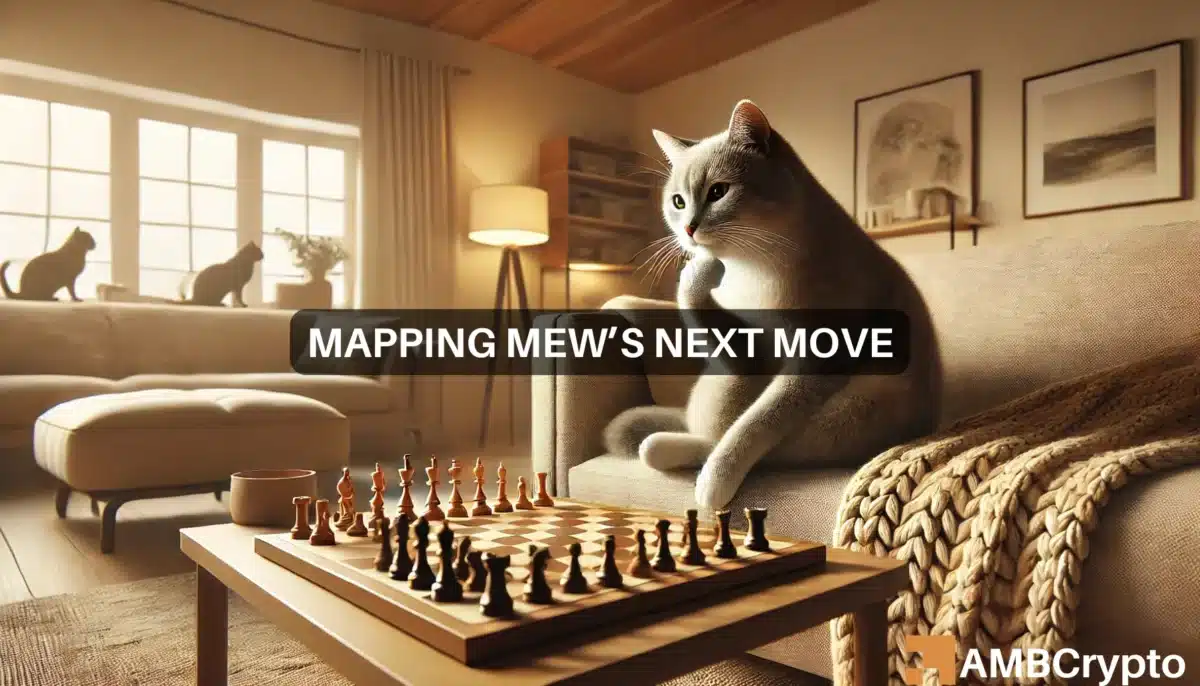 Mapping MEW's next move