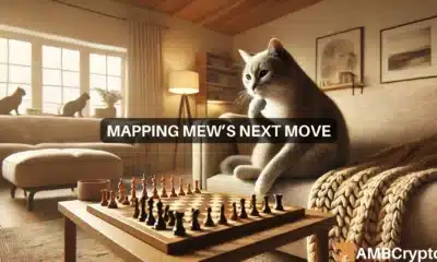 Mapping MEW's next move