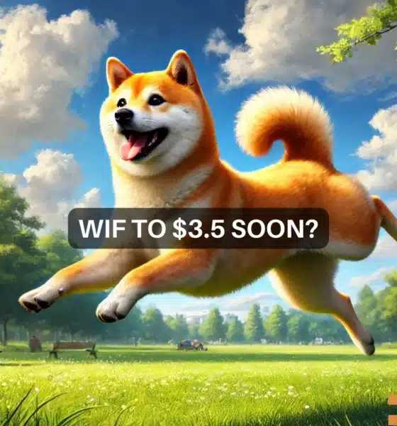 dogwifhat rises 53% in 30 days: $3.5 on the horizon for WIF?