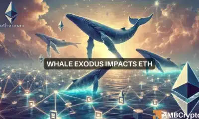 Ethereum whales start to vanish - What does this mean for ETH?