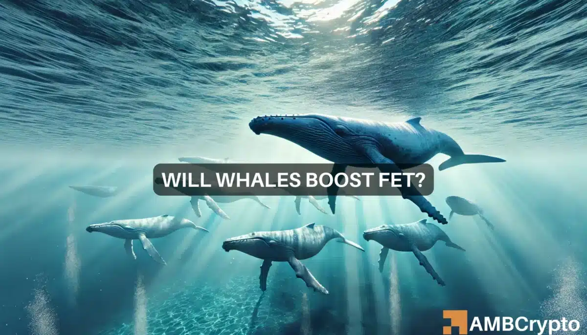 FET: Will whale activity fuel bullish momentum?