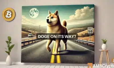 Short-term traders fuel Dogecoin's hype - Here's what may be next!