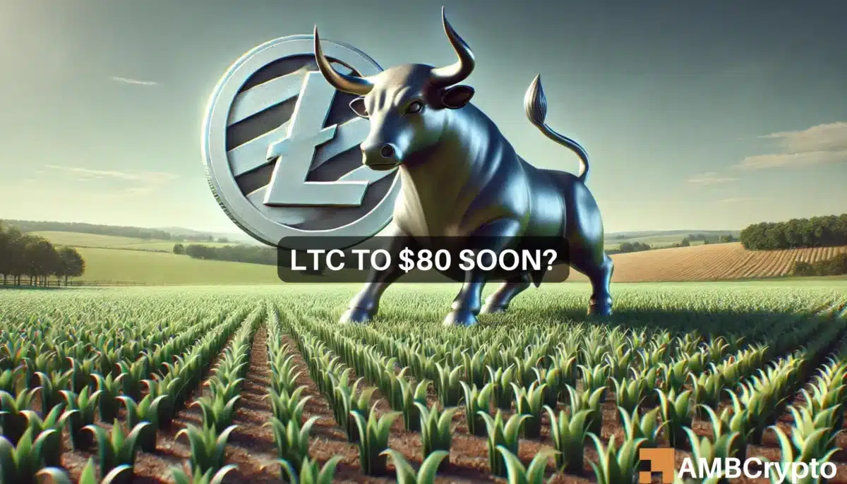 Litecoin LTC