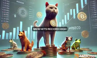 MEW hits second ATH in a week after Bitstamp listing - What's next?