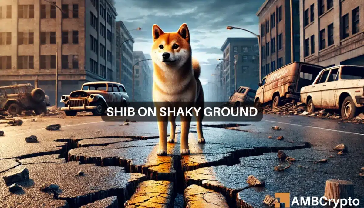 Shiba INu