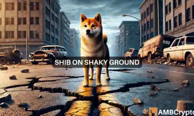 Shiba INu