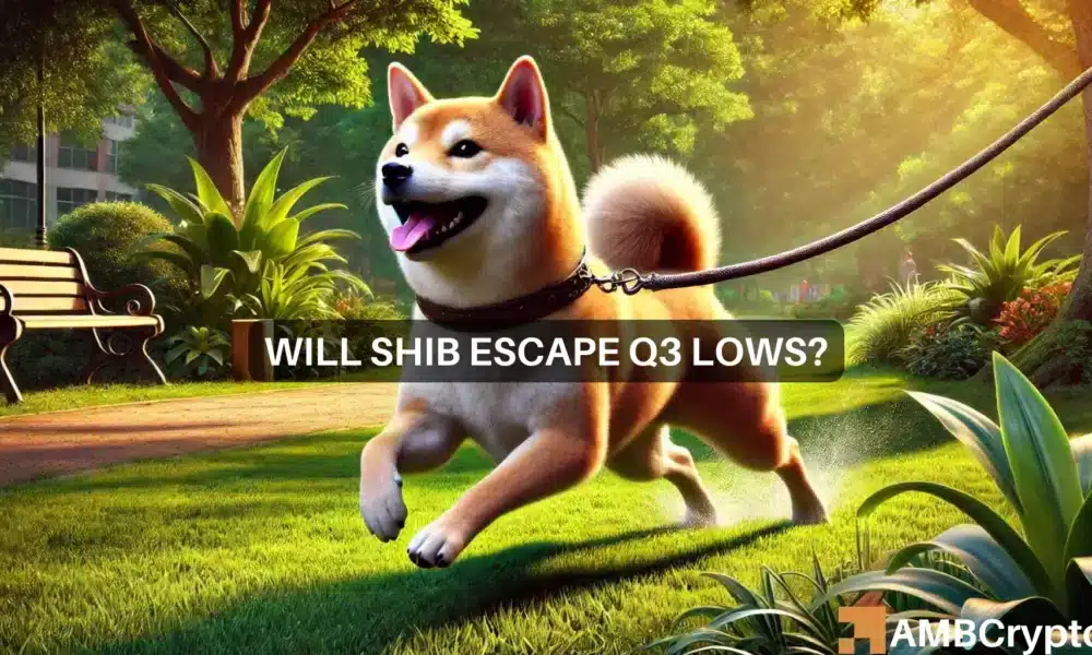 Shiba Inu Rebounds: Will SHIB Escape August-September Lows?