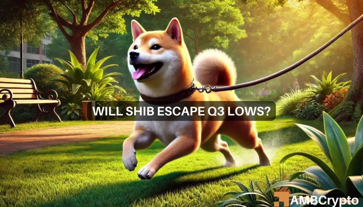 Shiba Inu rebounds: Will SHIB escape August-September lows?