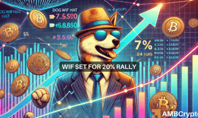 dogwifhat up 7% in 24 hours - Can WIF's price rally by +20% in Q4 of 2024?