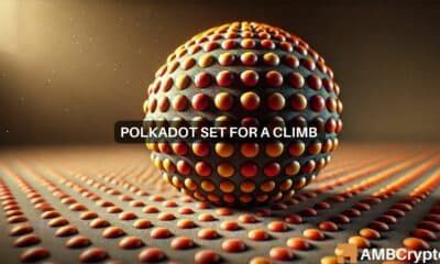 Polkadot