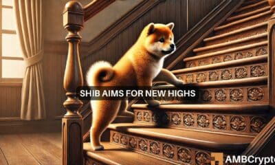 Shiba Inu