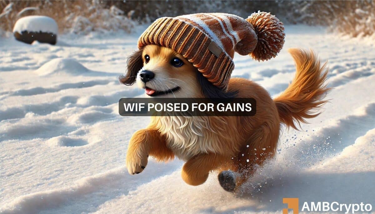 dogwifhat